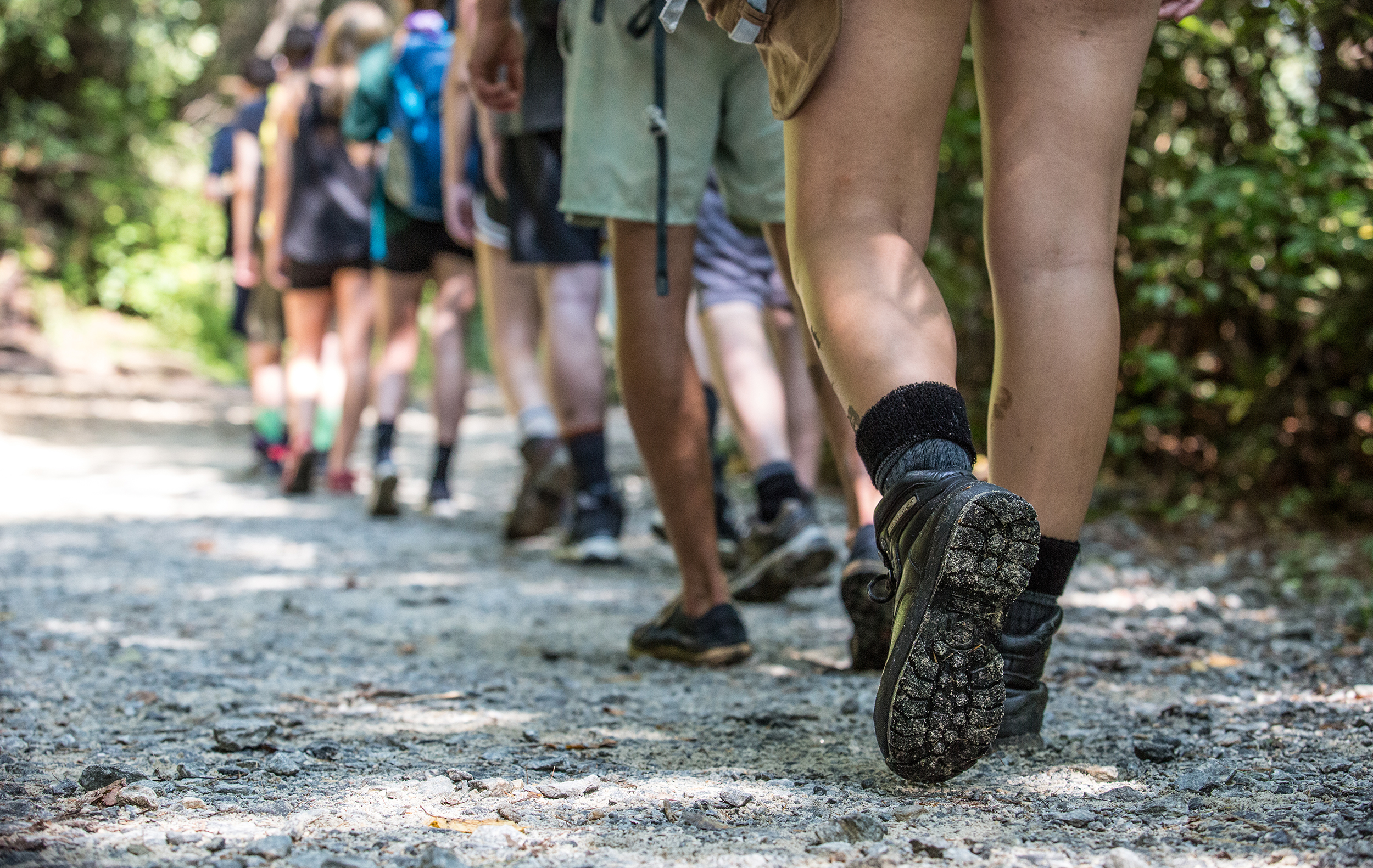 Line of people hiking on a trail
